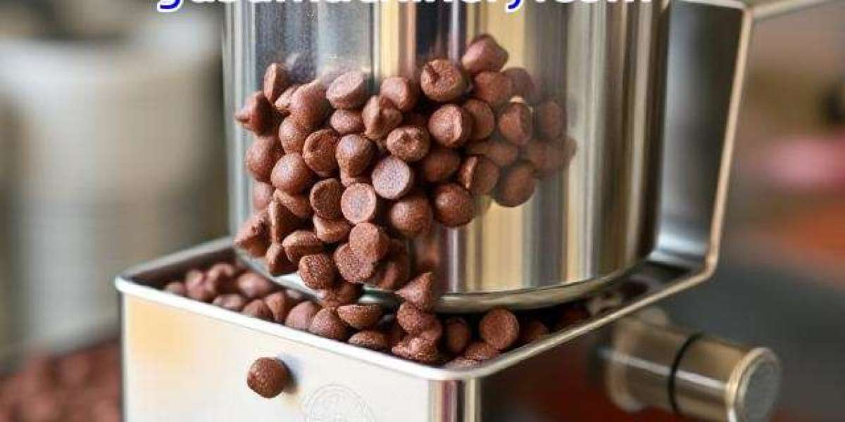 Chocolate Ball Mill Solutions for Modern Chocolate Producers