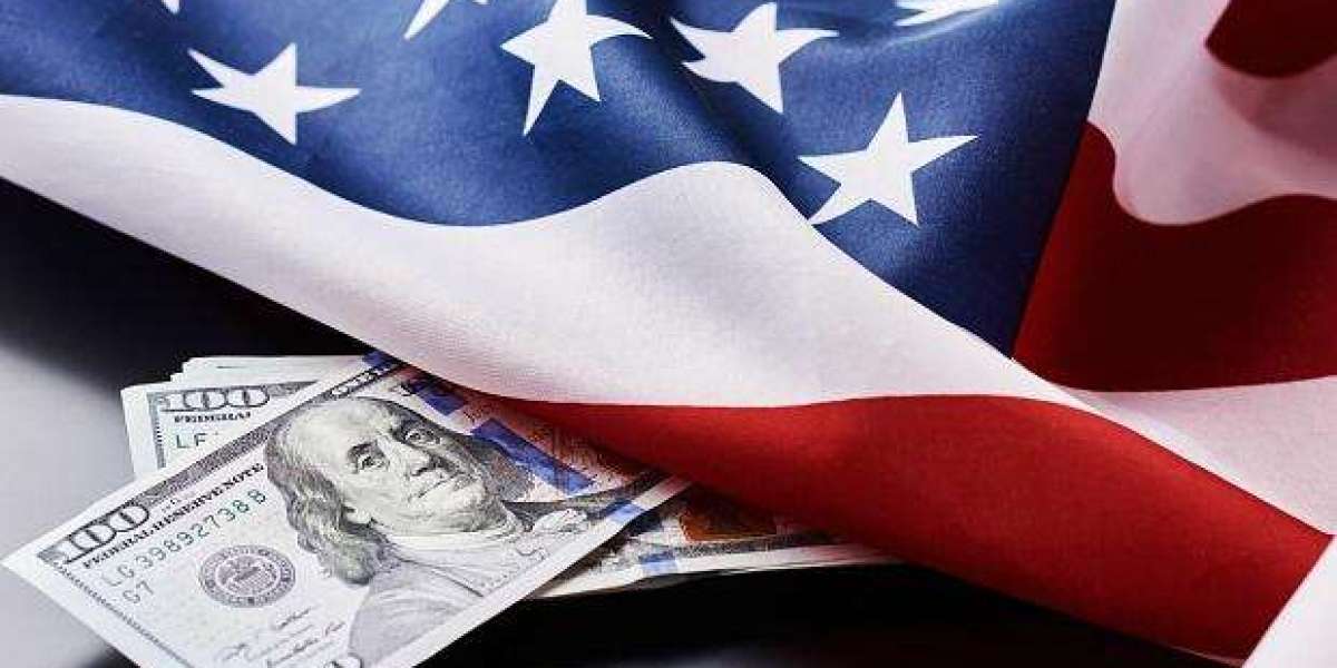 "Top Business Opportunities in the USA for 2025 Success"