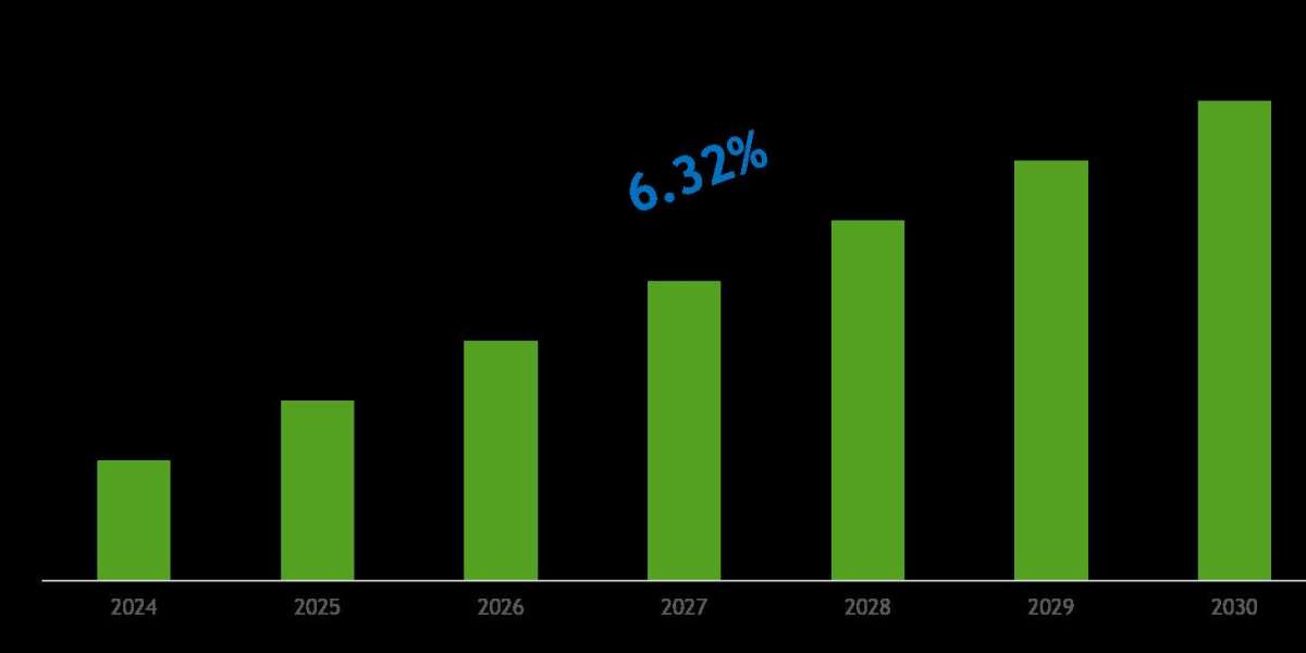 United Arab Emirates (UAE) Gas Meters Market Scope & Volume Analysis with Executive Summary 2030