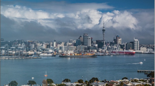 Why NZ ESG Reporting Is Crucial for Business Sustainability