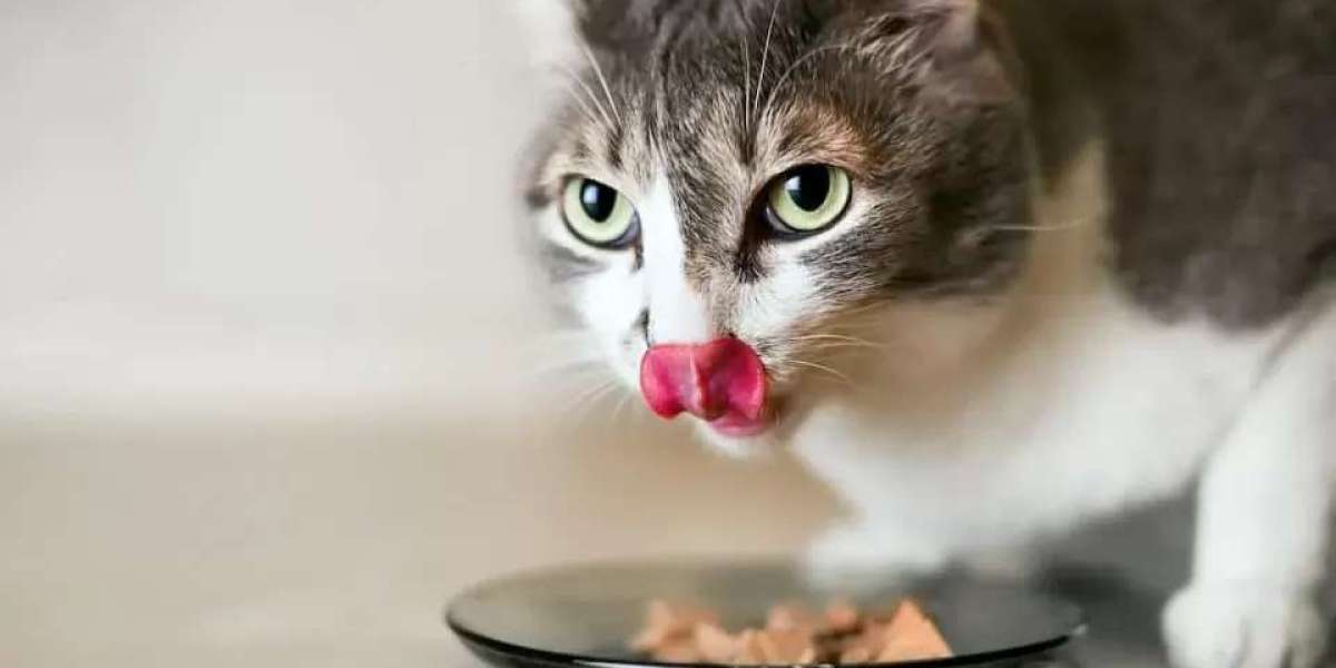 The Impact of Fresh Herbs on Pet Appetite Stimulation