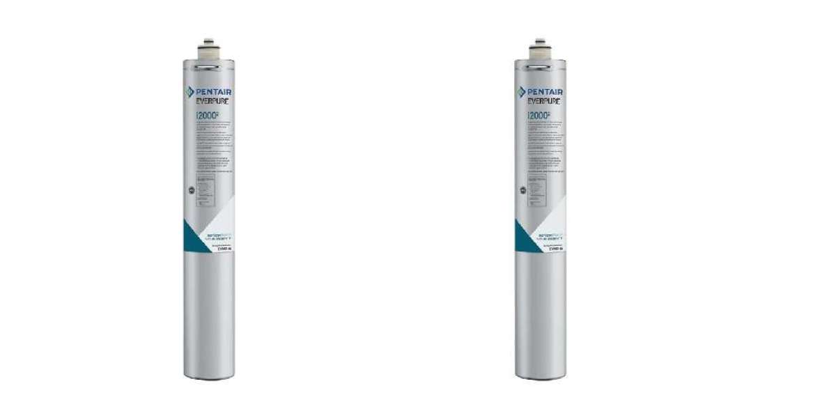 Why the Everpure i2000 is the Top Choice for Commercial Ice Machine Filtration