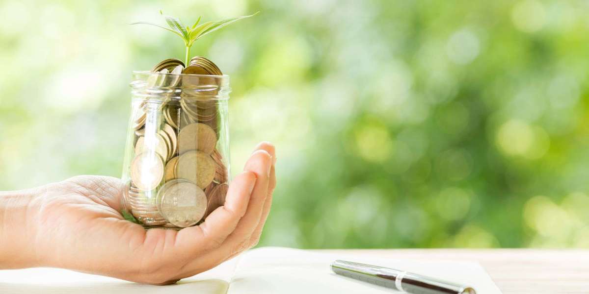 Does the Best Mutual Fund Software Help You View CAS Quickly?