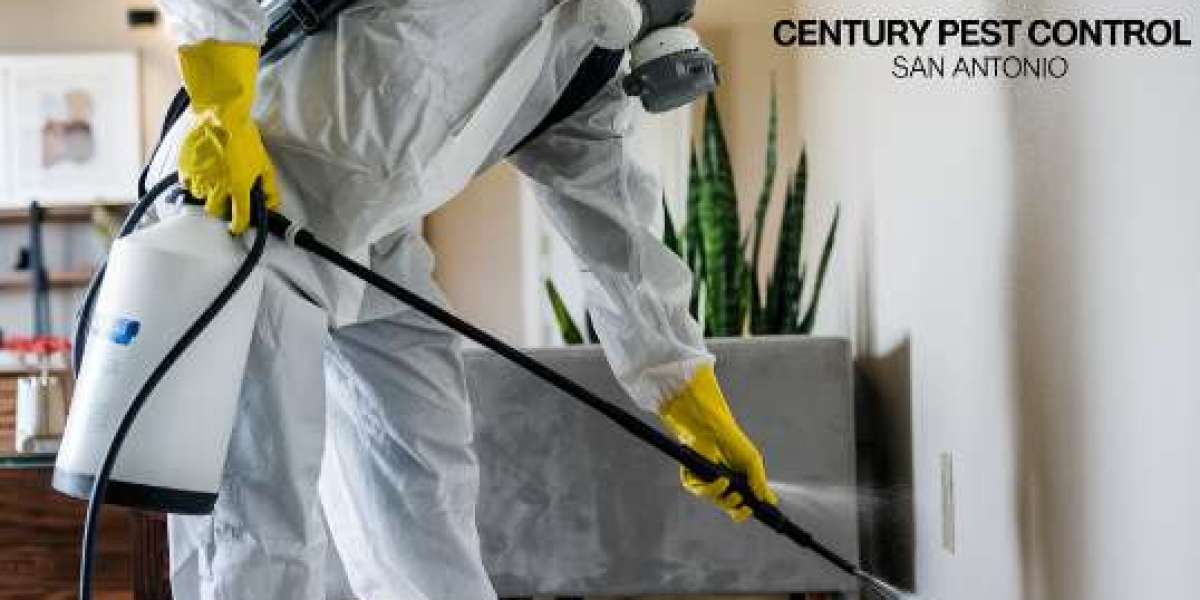 San Antonio’s Best Termite Control Services | Safe & Affordable Solutions