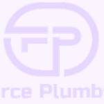 Fierce Plumbing Service