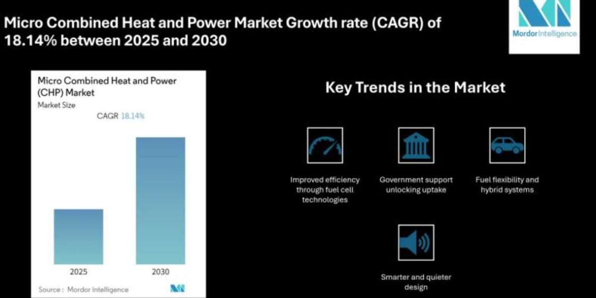 Micro-CHP Market Sees Surge Driven by Carbon Reduction Goals and Smart Grid Integration