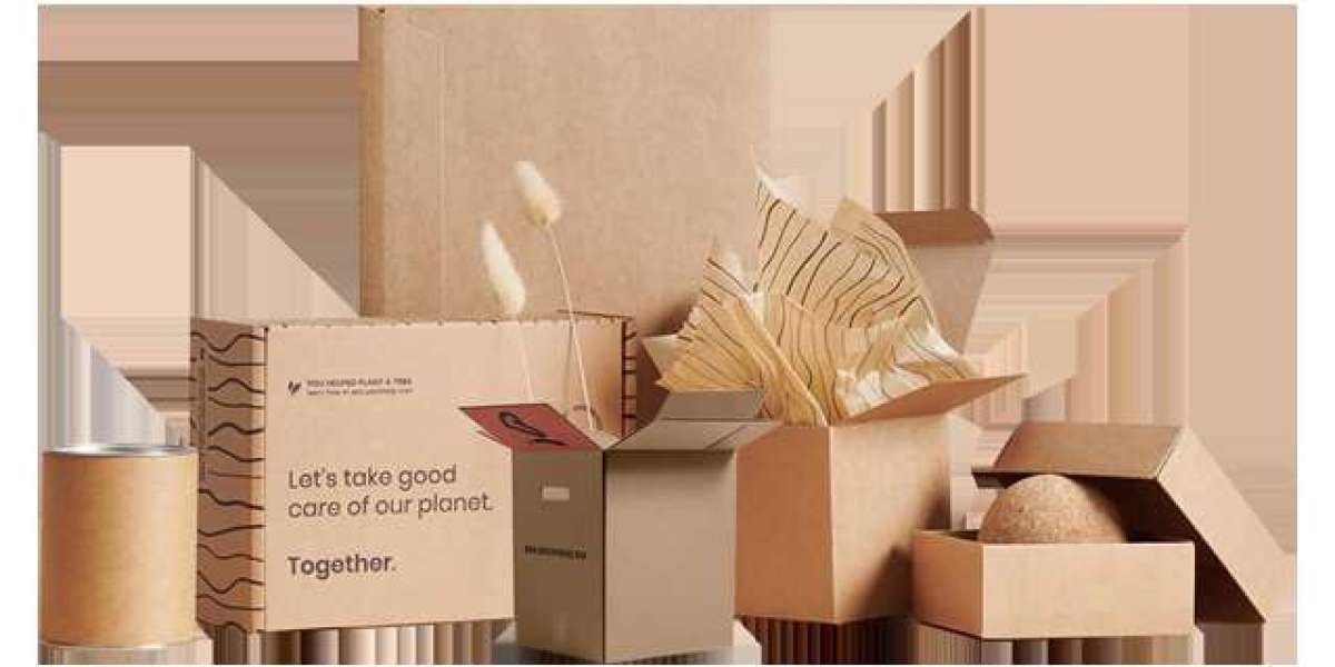 Elevate Your Brand with Custom Printed Pyramid Boxes from Bexo Packaging