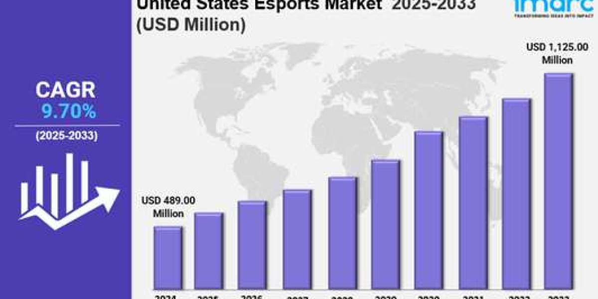 United States Esports Market Size, Share, Trends, Growth Factors and Forecast 2025-2033