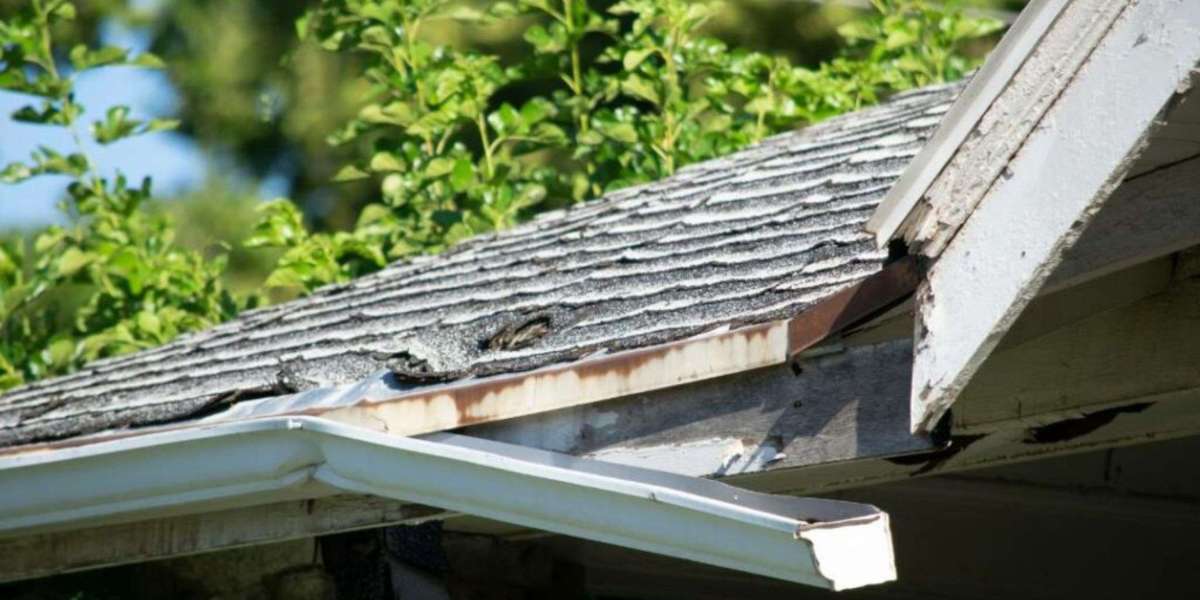 The Hidden Danger of Gutter Repair Services: Protecting Your Edinburgh Borders Roofing from Foundation Damage