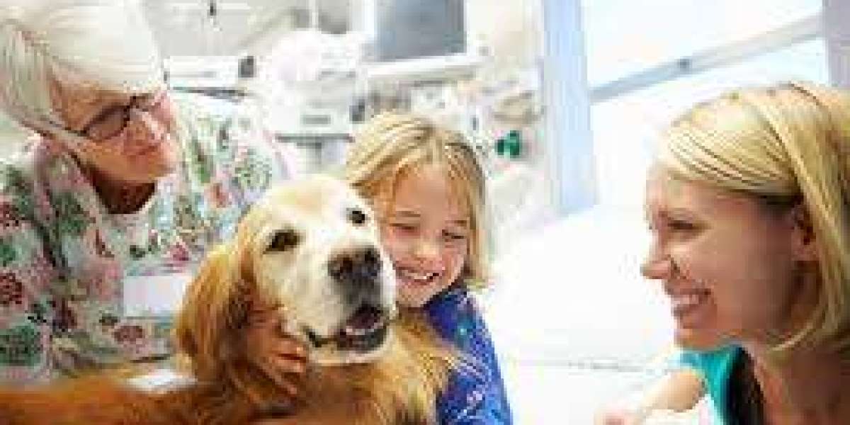 How Pets Are Becoming Therapy Companions More Than Ever