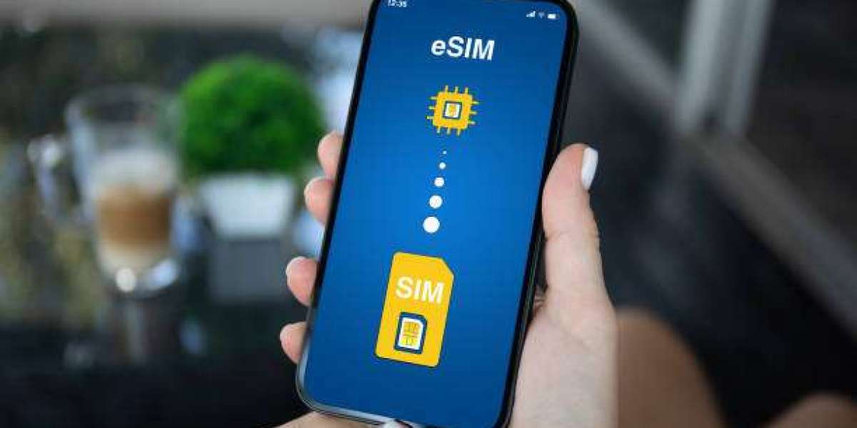 Global eSIM vs SIM: Which Works Best for Travel?