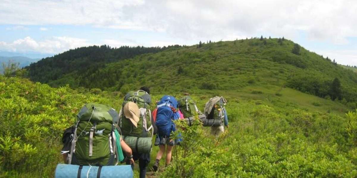 Importance of Hiking in Promoting Environmental Conversation and Awareness