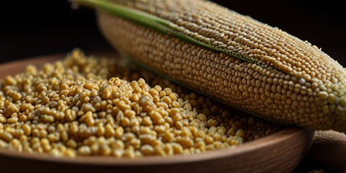 Millet Prices Q3 2025: Latest Pricing Updates, Chart and Forecast Insights
