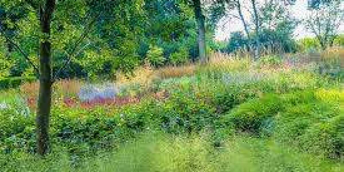 Choosing the Right Plants for Your Garden Design