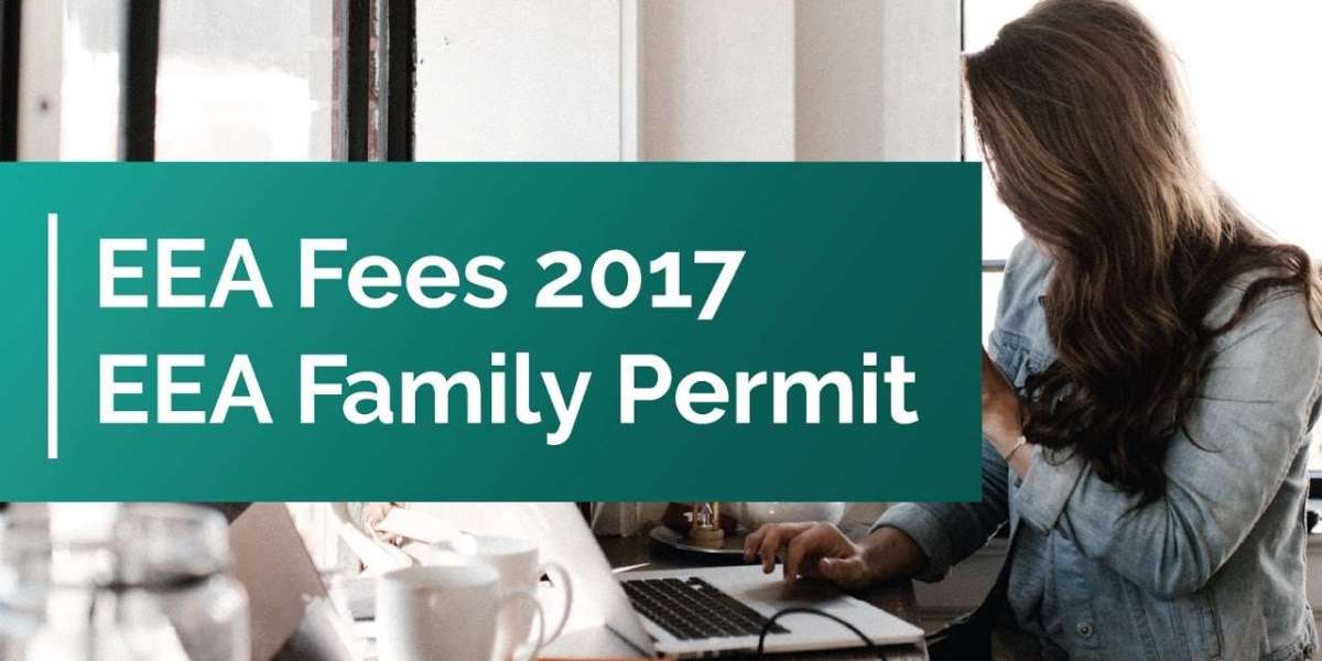 Post-Brexit Pathways: A Diagnostic Guide for Families of EU Nationals in the UK