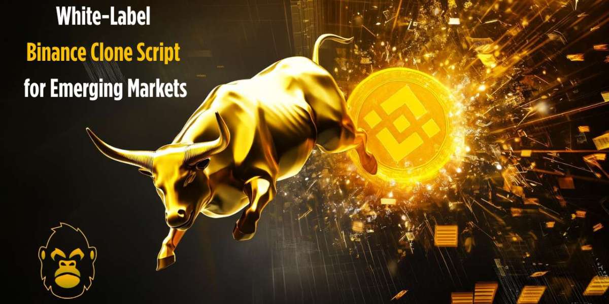 White-Label Binance Clone Solutions for Emerging Markets (UAE, India, Africa)