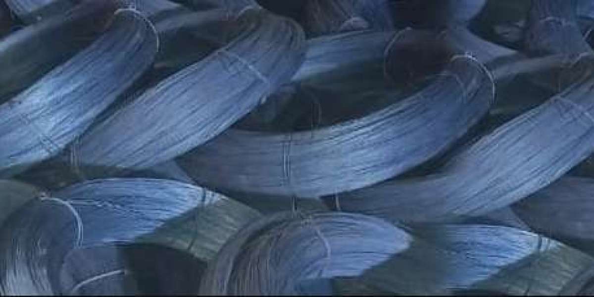 Nightfall Narratives: Inside Delhi’s High-Luxury World with Travel Companion Escort