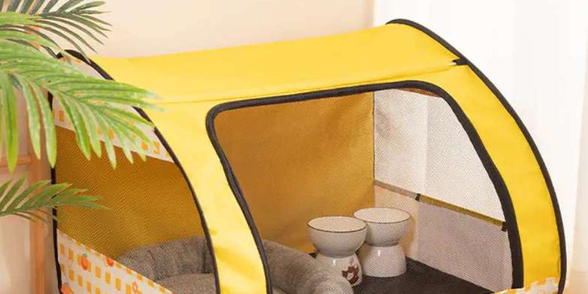 Creating a Safe Haven for Your Pregnant Cat