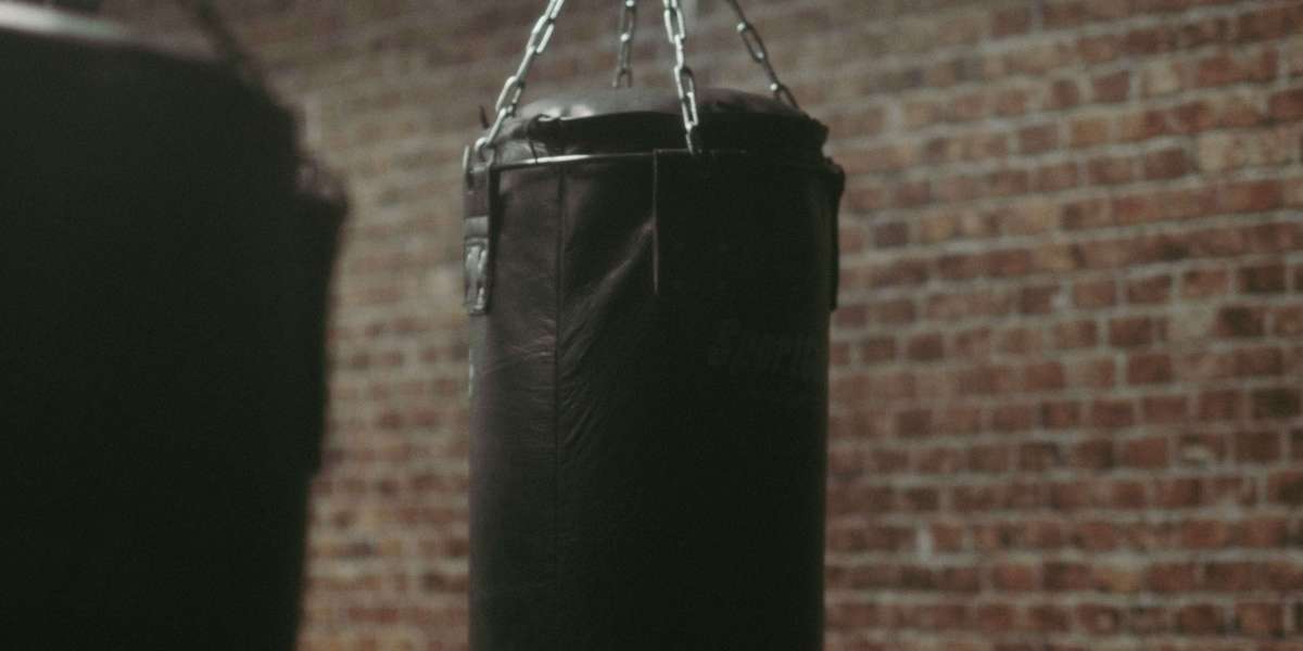 Start a Boxing Training Business & Pick the Perfect Punching Bag