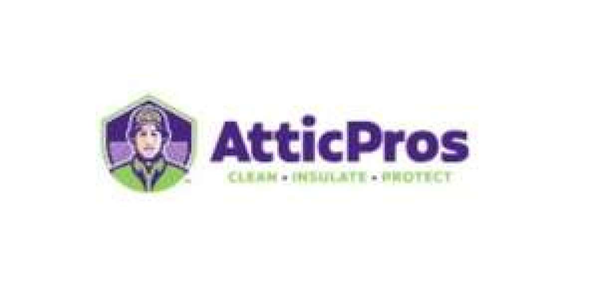 Keep Your Home Rodent-Free with Attic Pros: Expert Solutions for a Cleaner, Healthier Space