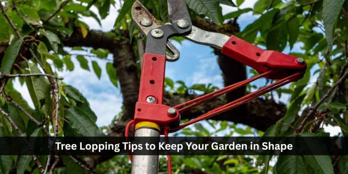 Tree Lopping Tips to Keep Your Garden in Shape