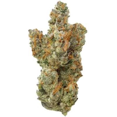 Frostade THCa Flower Profile Picture