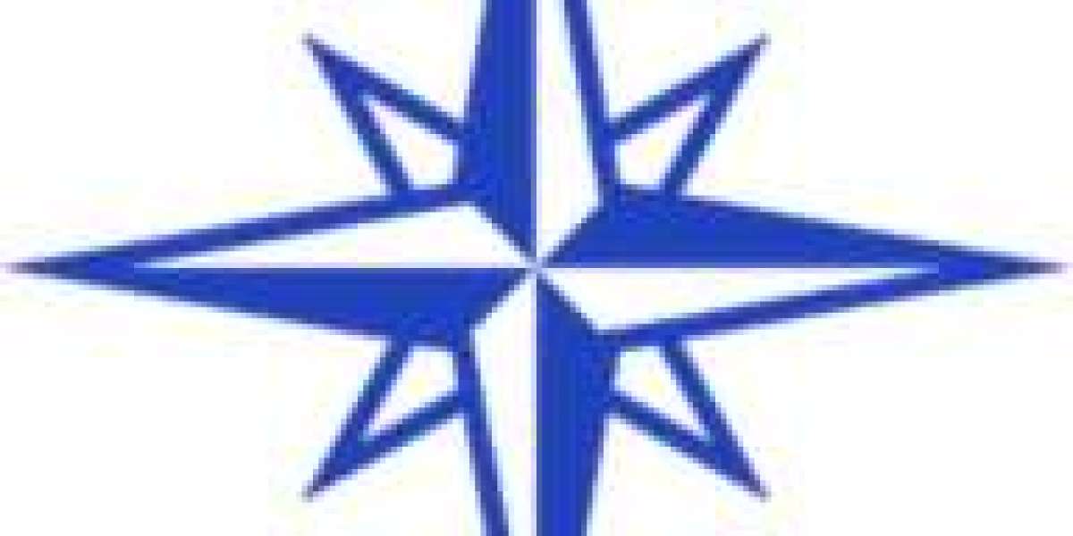 Comprehensive Accounting and Bookkeeping Services in Dubai – Polaris Consulting