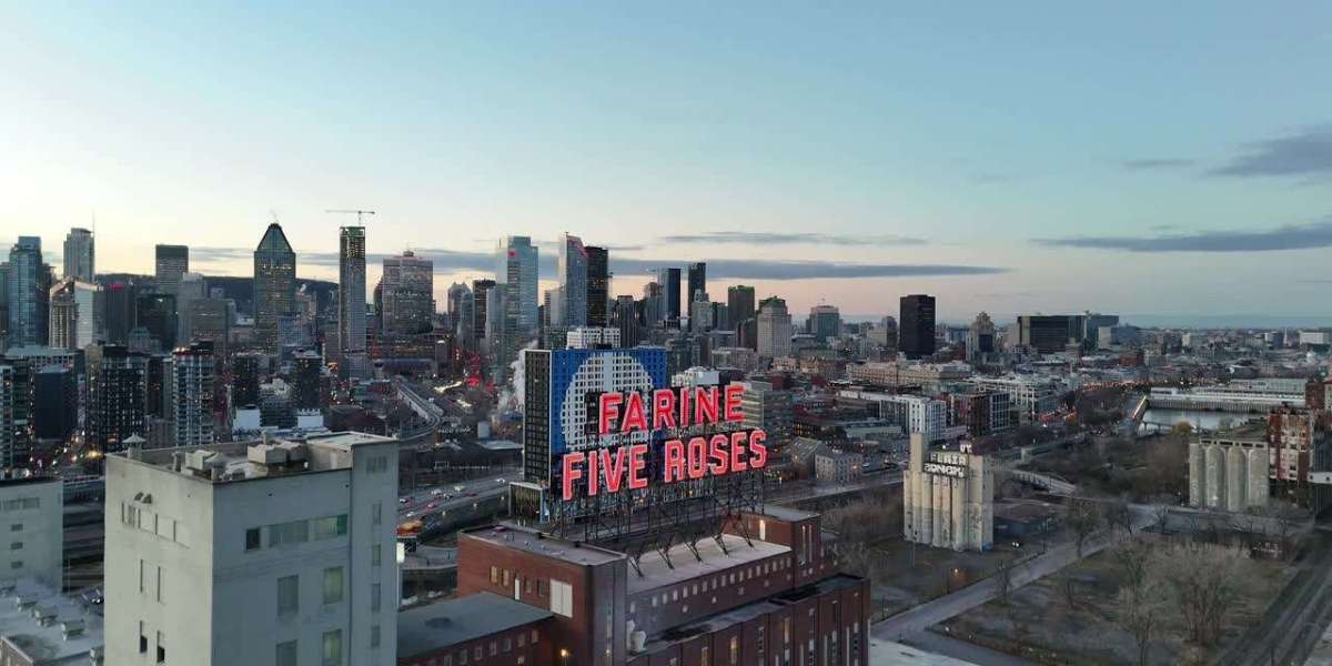 Building a Future-Ready Small Business with Mavesta Media’s Digital Solutions