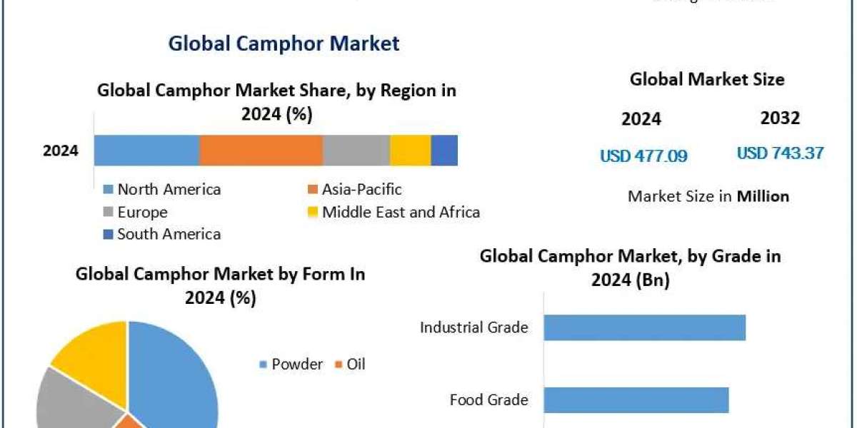 Camphor Market Drivers, Innovations, and Growth Pathways (2025-2032)
