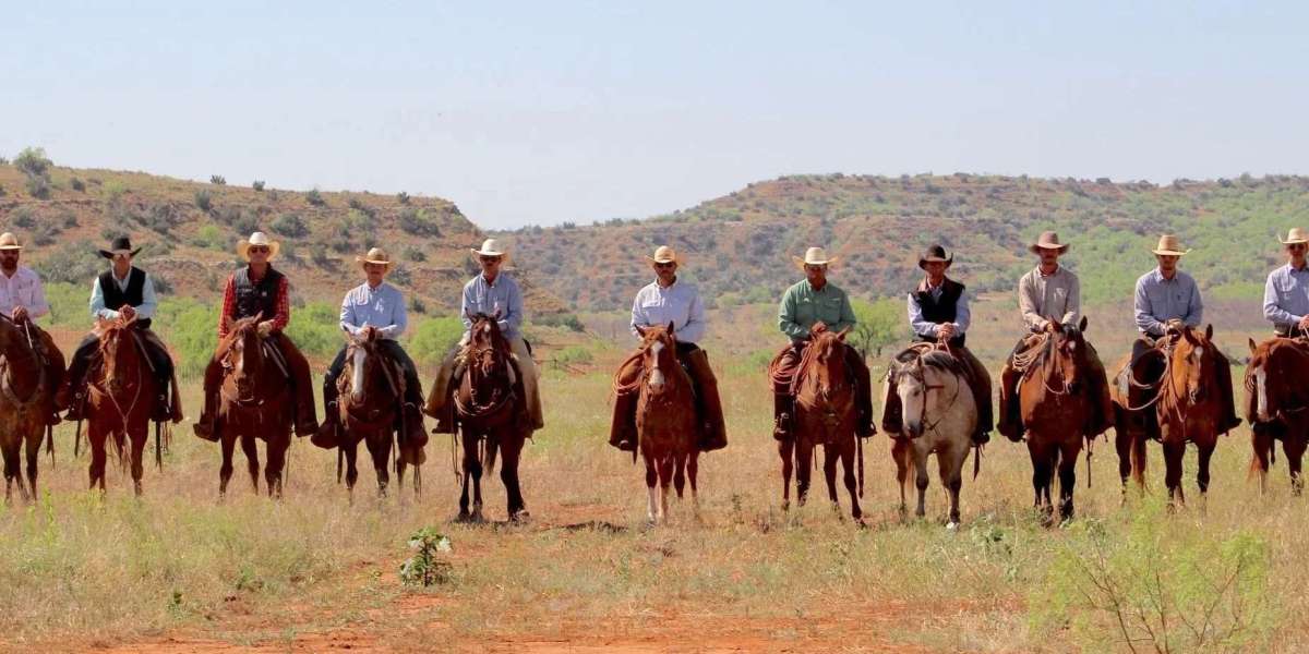 Tips for Selling Mineral Rights Quickly and Efficiently