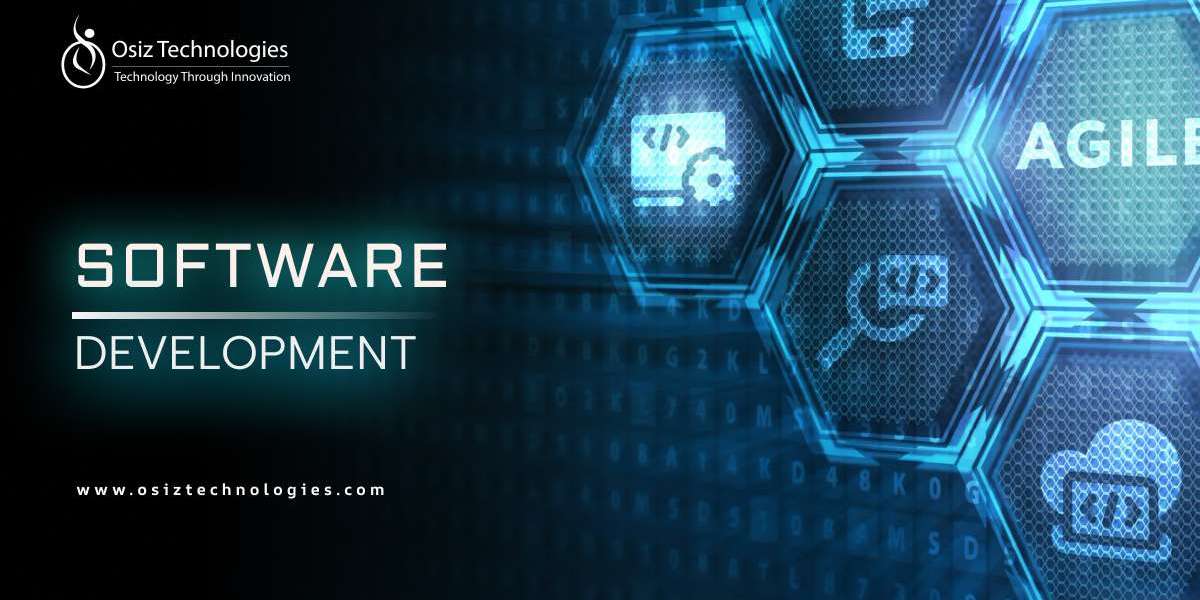 Why Is Software Development Crucial in Competitive Markets?