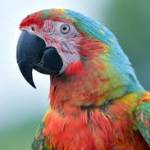 Watchanime incomputer