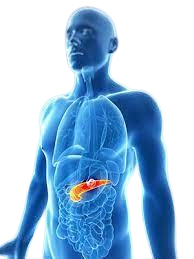 Pancreatic Cancer Treatment in Dindigul | Dr.Srinivaasan Mani