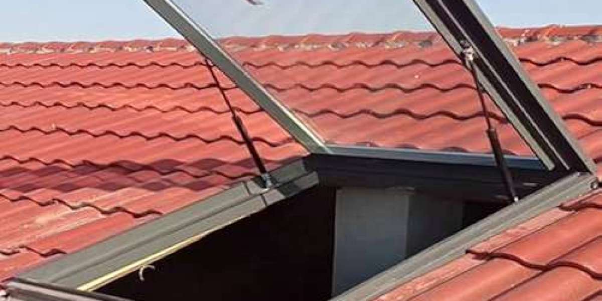 Teras çatı pencereleri