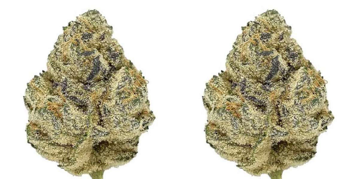 Understanding the Menu at Dispensaries in Virginia