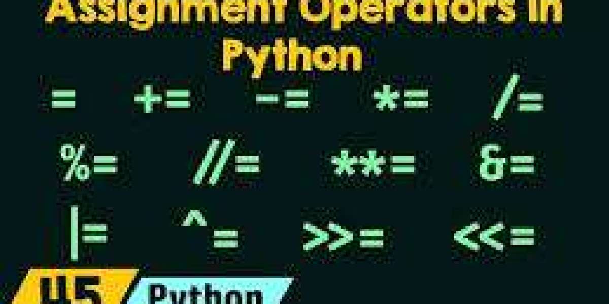 Who Can I to Contact to Do My Python Assignment?