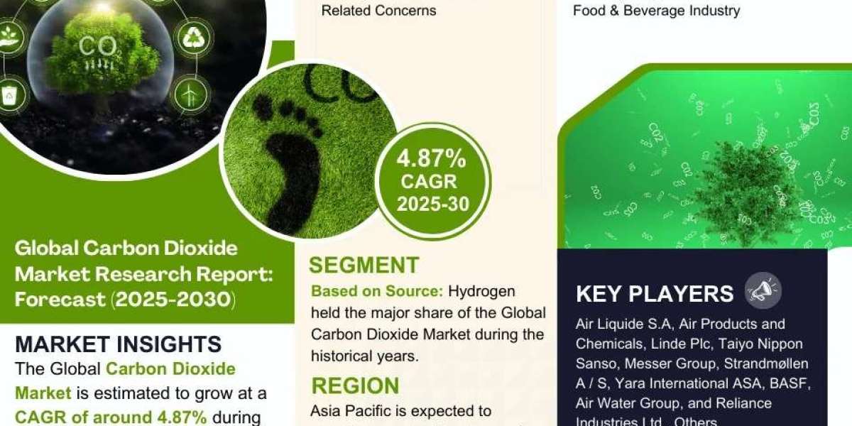Carbon Dioxide Industry Insights & Future Growth by 2030