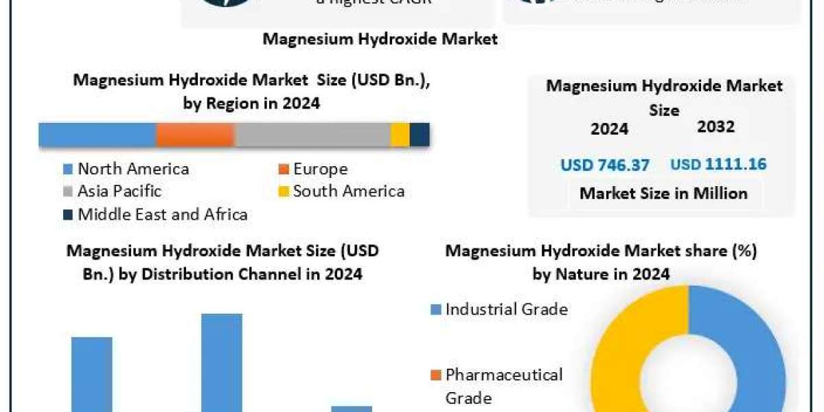 Magnesium Hydroxide Market Size, Demand Outlook, and Strategic Insights (2025-2032)