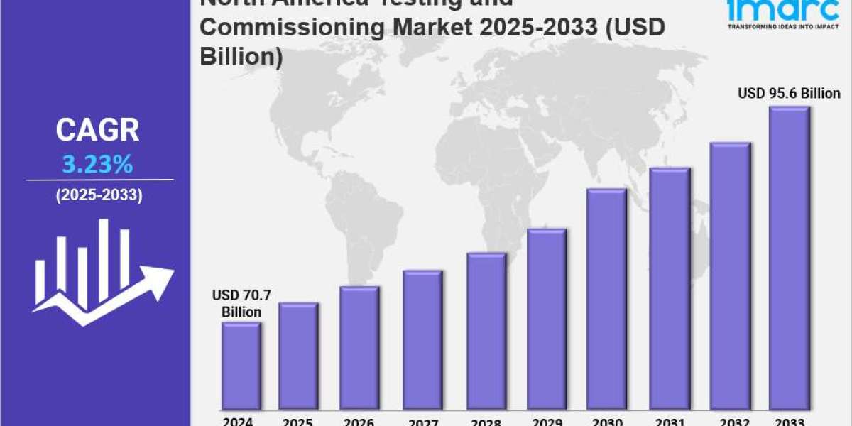 North America Testing and Commissioning Market Market Share, Size, In-Depth Analysis and Forecast 2025-2033