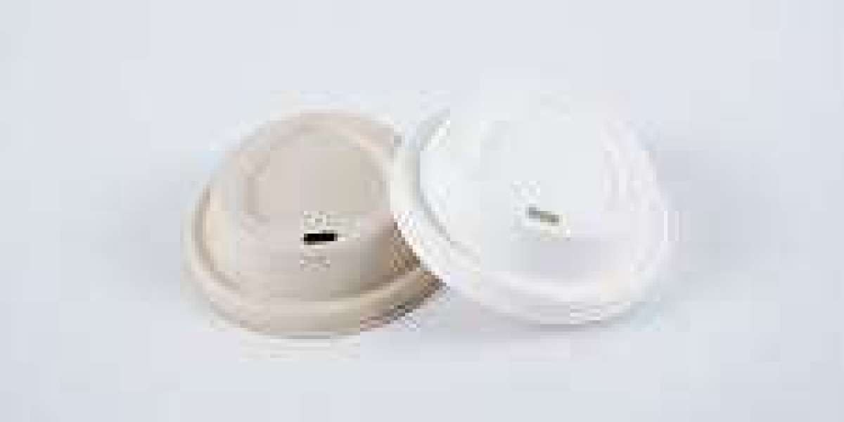 Biodegradable Lids Market Intelligence Assessing Competitive Moves And Product Innovation