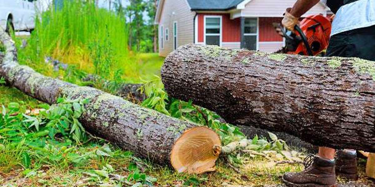 How Emergency Tree Removal Prevent Roof and Power Line Damage