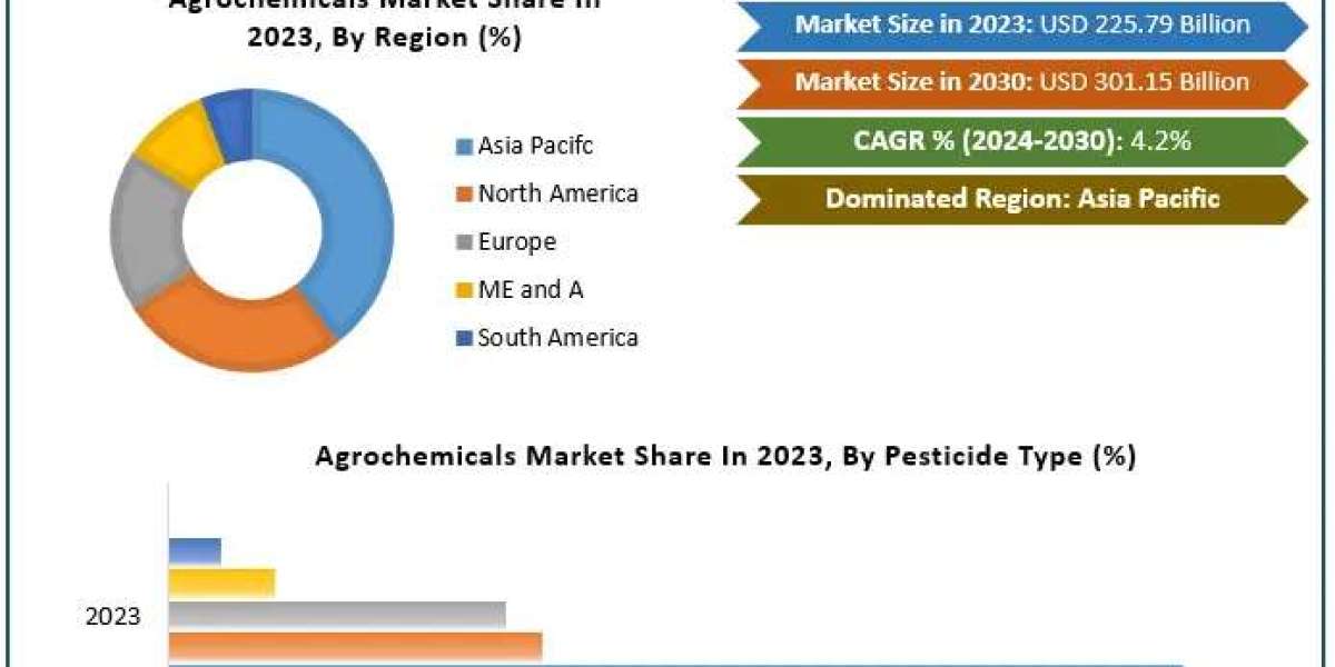 Agrochemicals Market Analysis, Size Forecast, and Future Developments (2024-2030)
