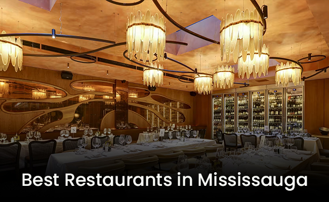 Discover the Best Middle Eastern Food Restaurants Near Me in Mississauga, Ontario – Experience Authentic Flavours at Evalounge - shopifyblogs.com