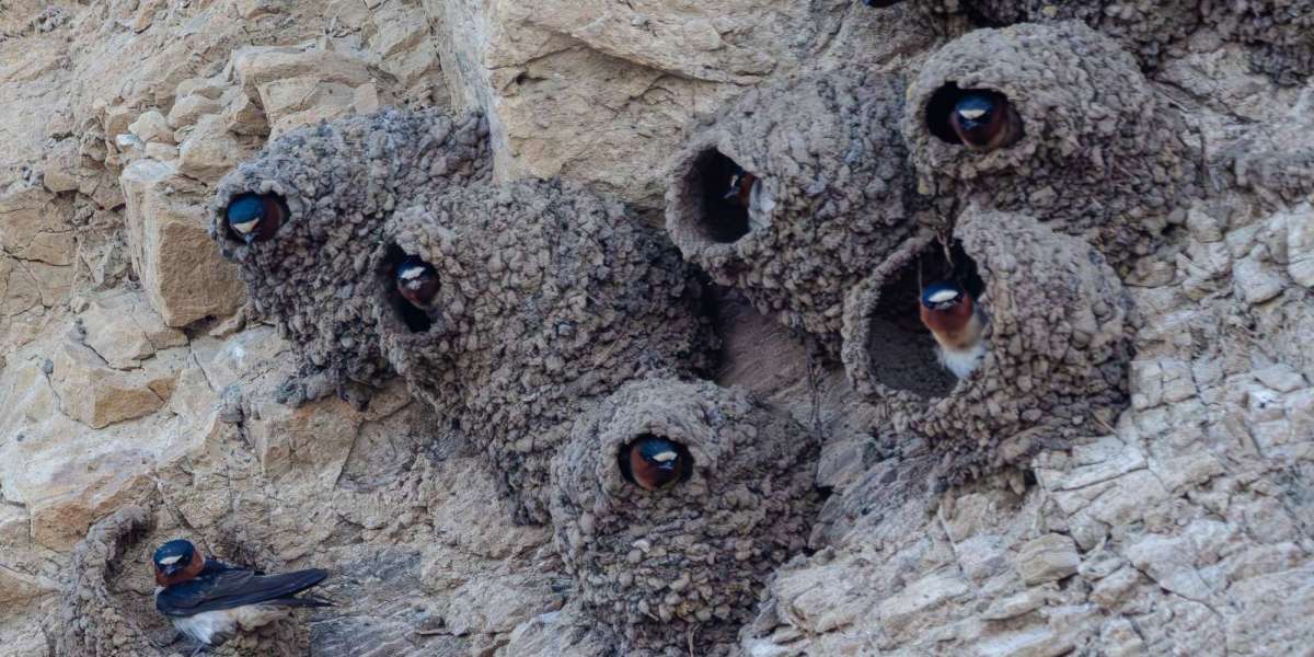 Kredivo dan Gaya Hidup Digital Generasi Milenial