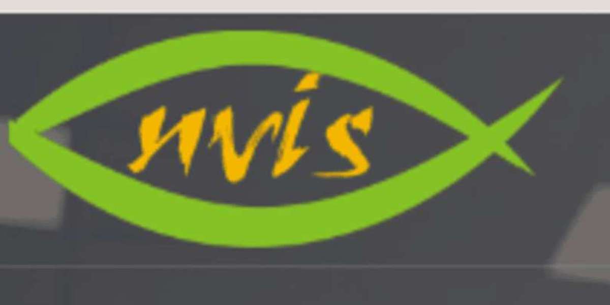 How to Use a Digital Storage Oscilloscope: Step-by-Step Tutorial for Beginners