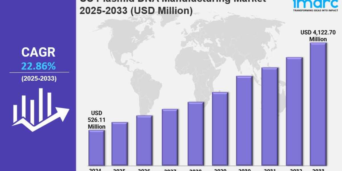 US Plasmid DNA Manufacturing Market Size, Share, Trends, Growth Factors and Forecast 2025-2033