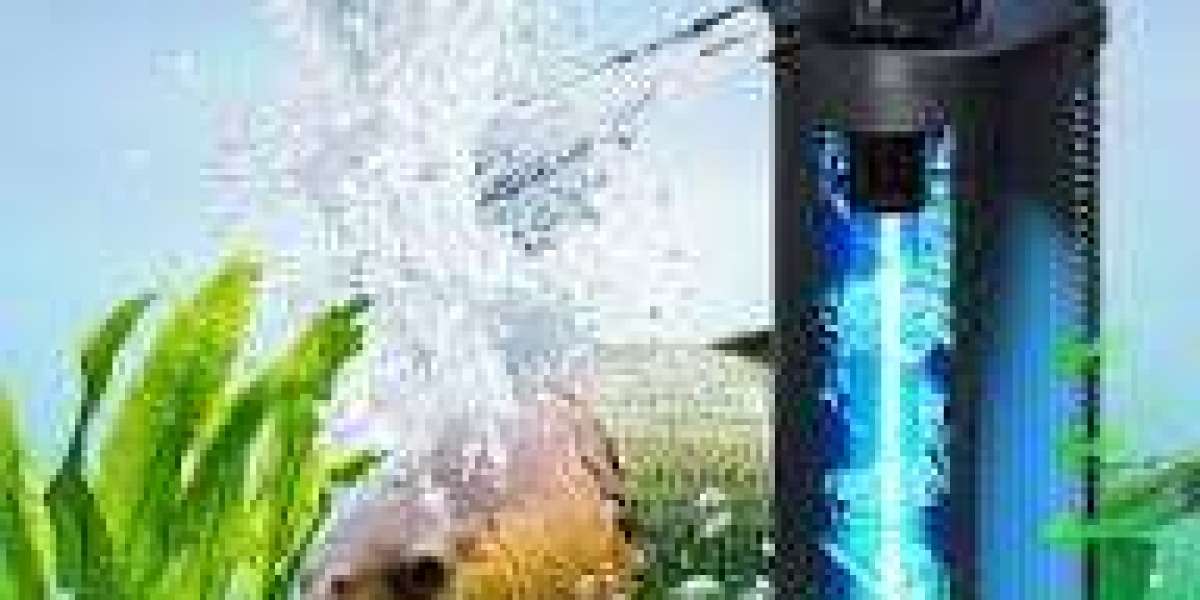 Aquarium Water Treatment Market tracks procurement strategies