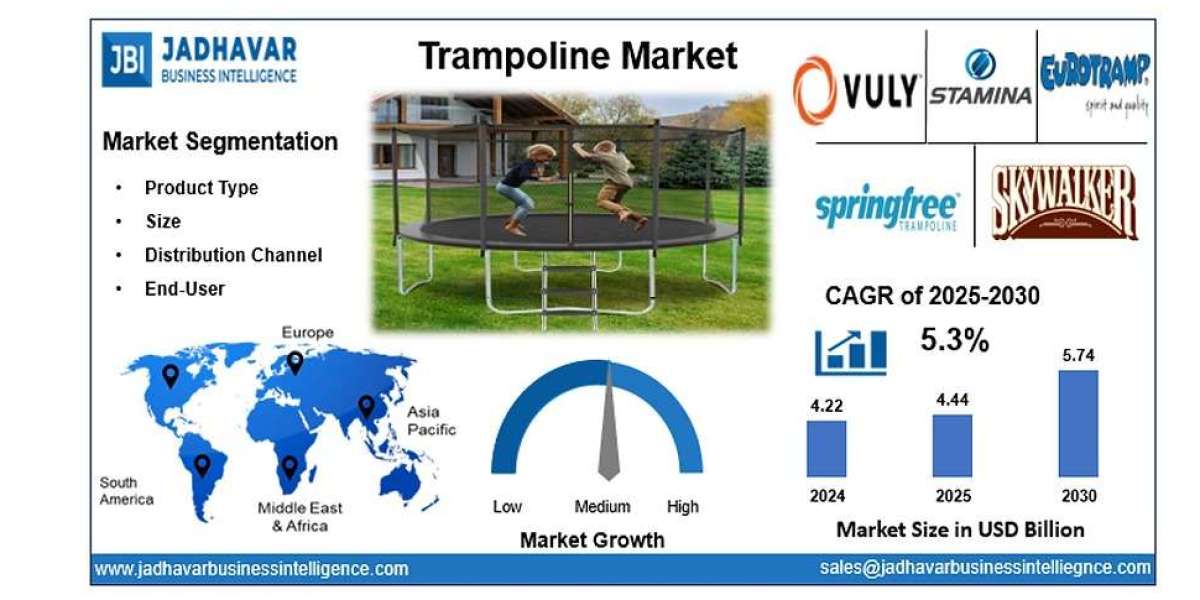 Trampoline Market: Challenges in Safety Regulations and Space Constraints