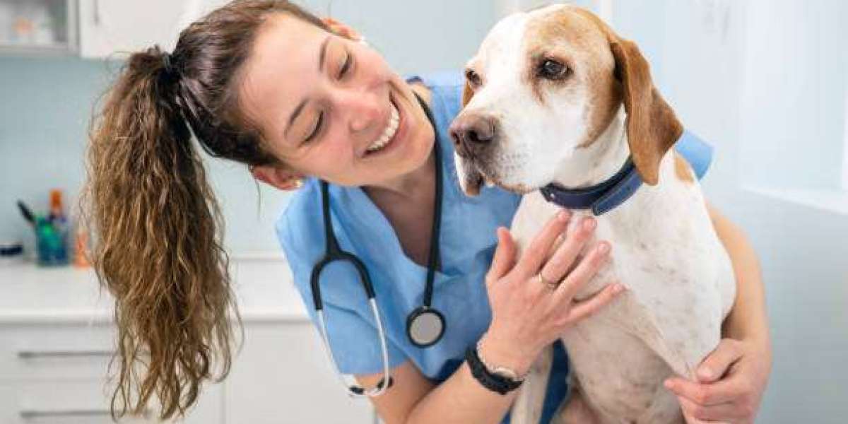 Advanced Veterinary Services at Park Hills Animal Hospital