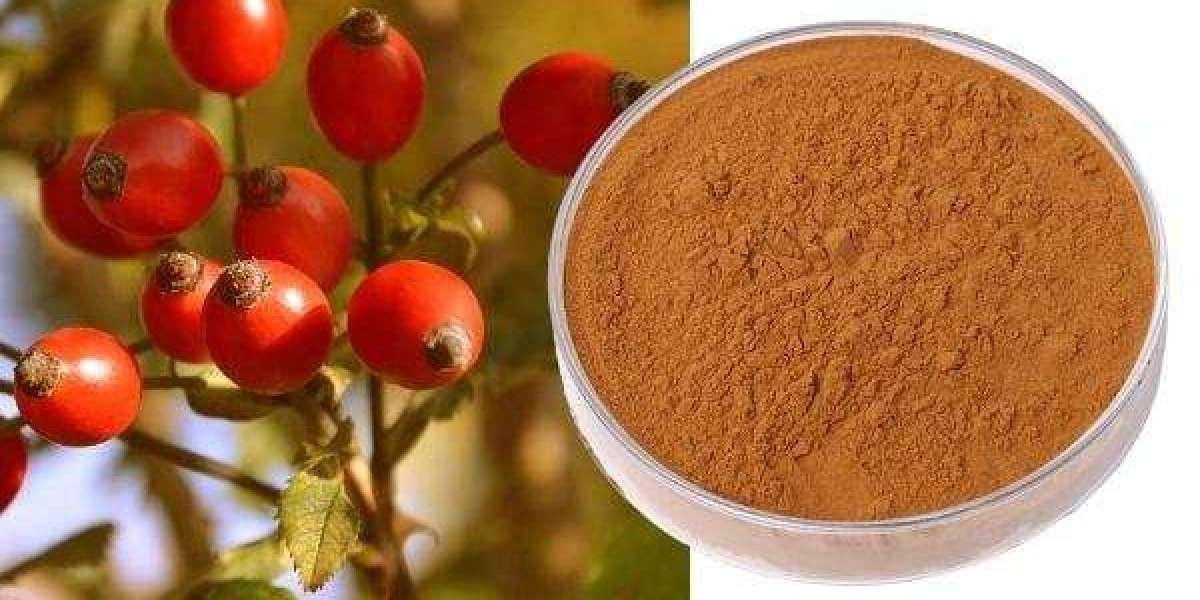 The Rose Hip Pipeline: Inside China's Botanical Supply Chain